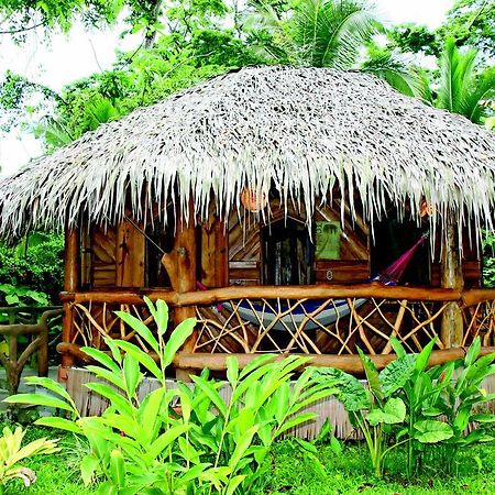 Hotel La Costa De Papito Puerto Viejo de Talamanca エクステリア 写真
