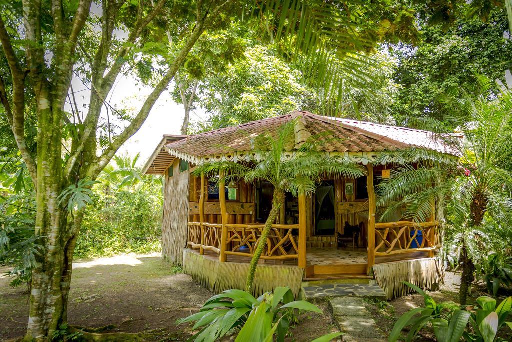 Hotel La Costa De Papito Puerto Viejo de Talamanca 部屋 写真