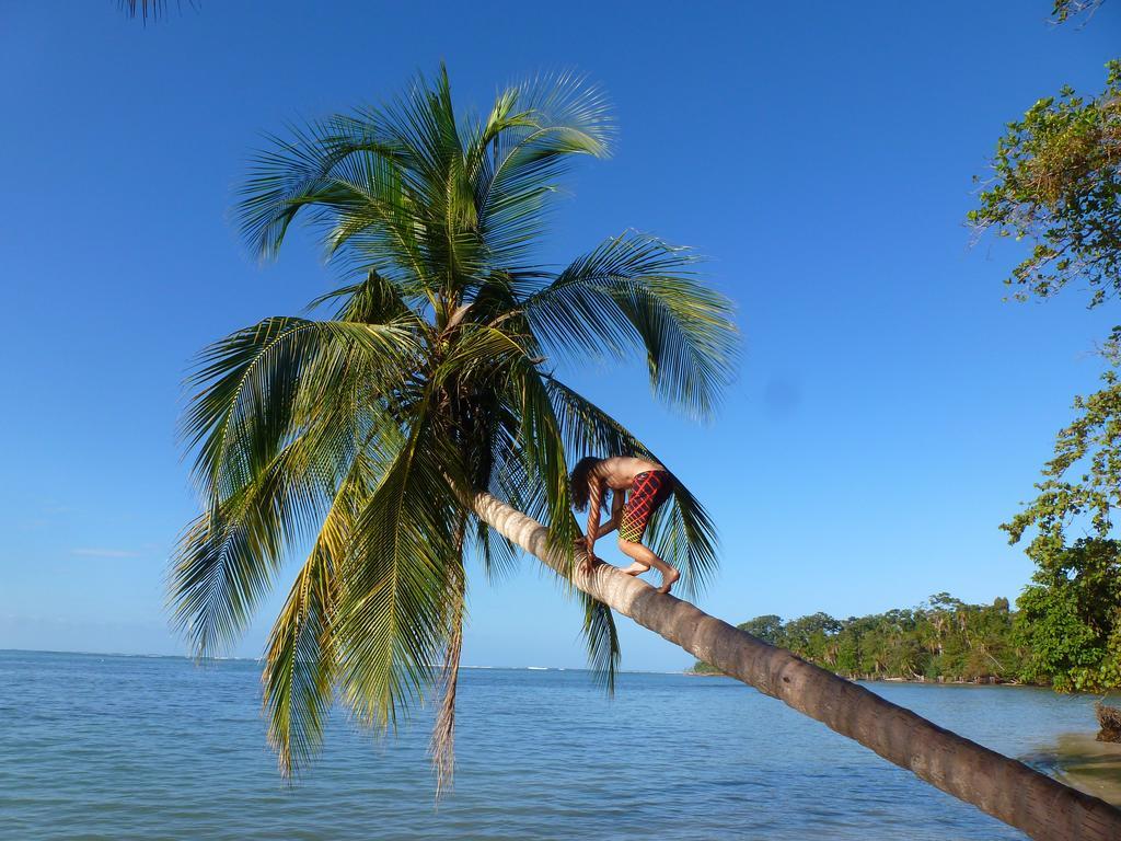 Hotel La Costa De Papito Puerto Viejo de Talamanca エクステリア 写真