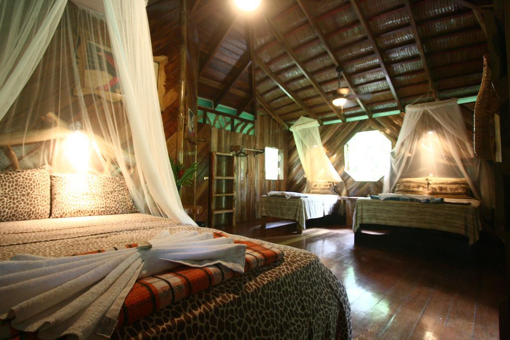 Hotel La Costa De Papito Puerto Viejo de Talamanca 部屋 写真