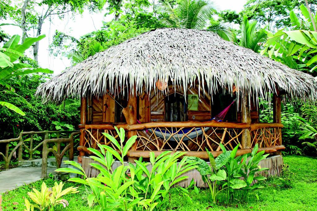 Hotel La Costa De Papito Puerto Viejo de Talamanca エクステリア 写真