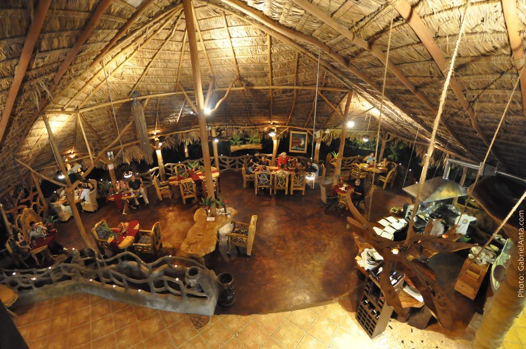 Hotel La Costa De Papito Puerto Viejo de Talamanca エクステリア 写真
