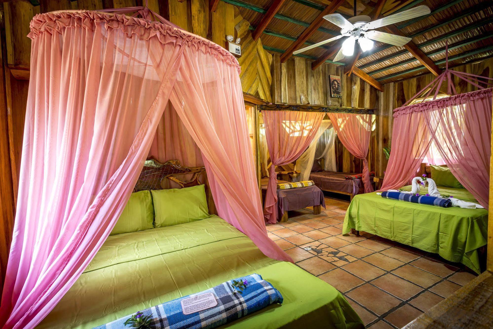 Hotel La Costa De Papito Puerto Viejo de Talamanca エクステリア 写真