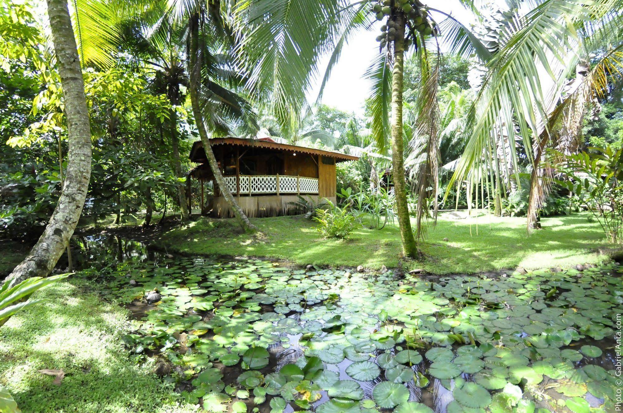 Hotel La Costa De Papito Puerto Viejo de Talamanca エクステリア 写真
